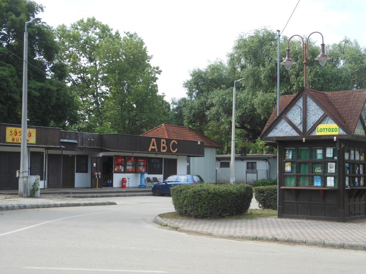 Cozy Family At The Siofok